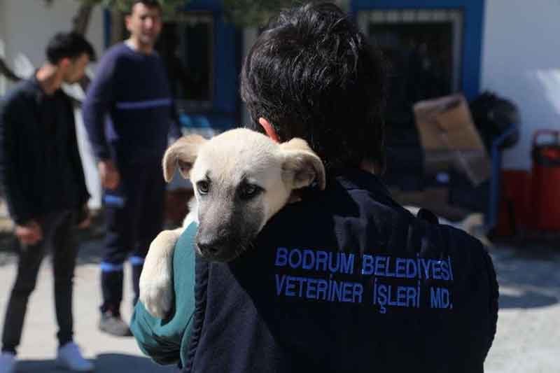 Bodrum'da siyah çelenk eylemi, 04 Ekim 2025