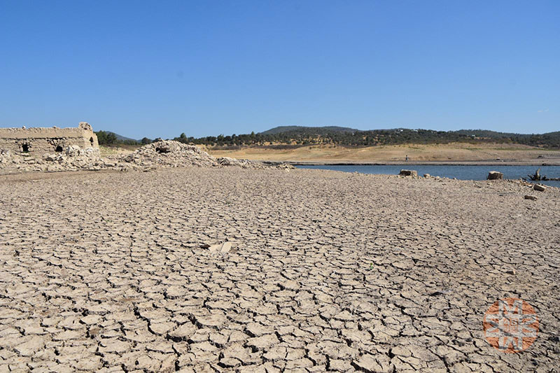 Mumcular Barajı'nın ardından Milas Geyik Barajı da kapatılıyor