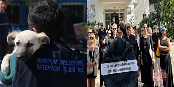 Bodrum haber