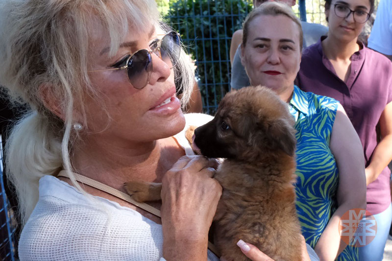 Süperstar Ajda Pekkan'dan barınağa ziyaret 3