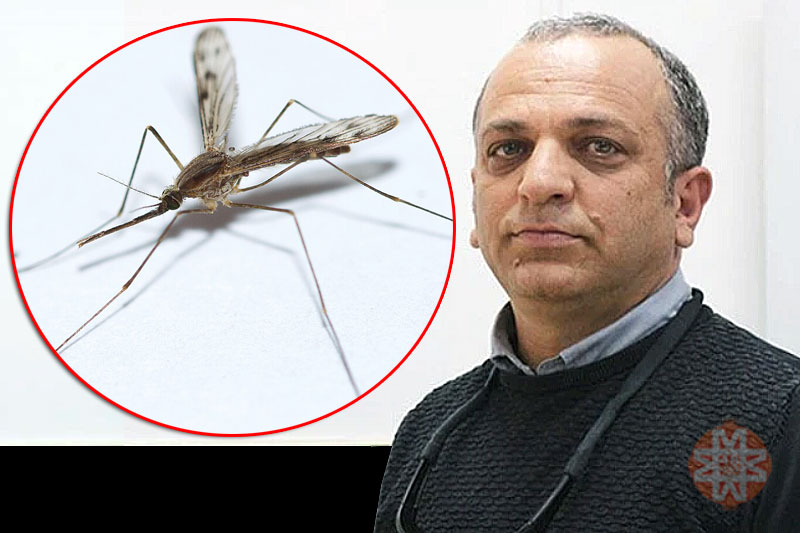 Yağmurlar sonrası sivrisinek uyarısı, Prof. Dr. Hüseyin Çetin