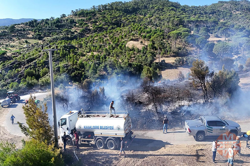 Kavaklıdere Çamlıyurt Mahallesi orman yangını 2