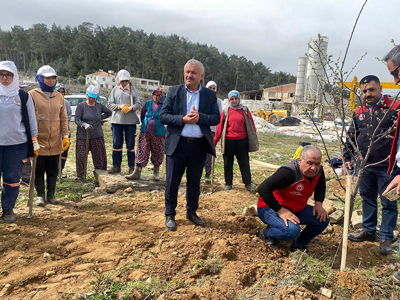 Kavaklıdere'de "Tıbbi, aromatik bitki bahçesi", Nisan 2024 1