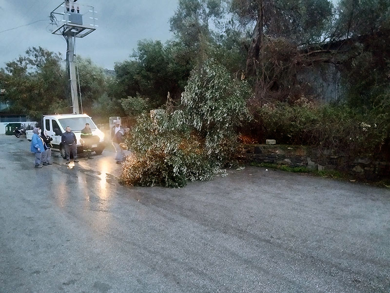 Muğla, Bodrum Fırtına, 22 Ocak 2026 1