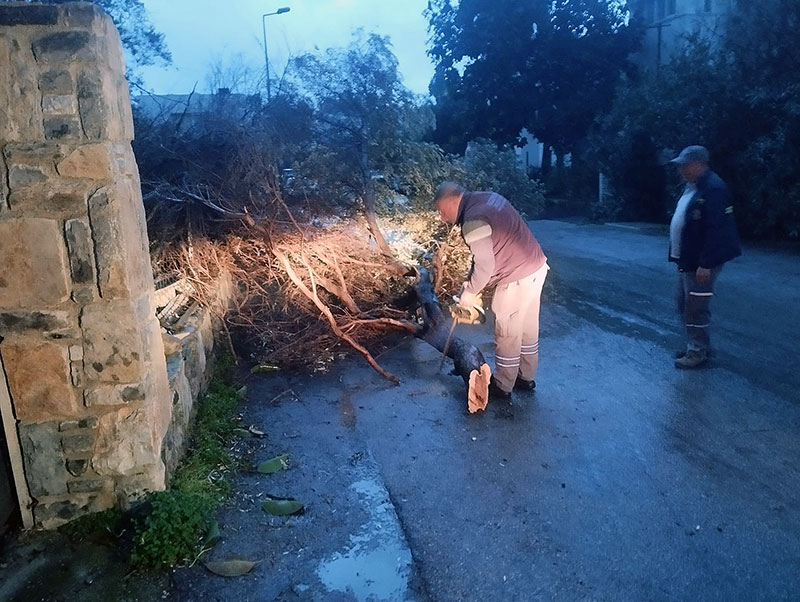 Muğla Genel haberleri; Muğla Genel haber 1