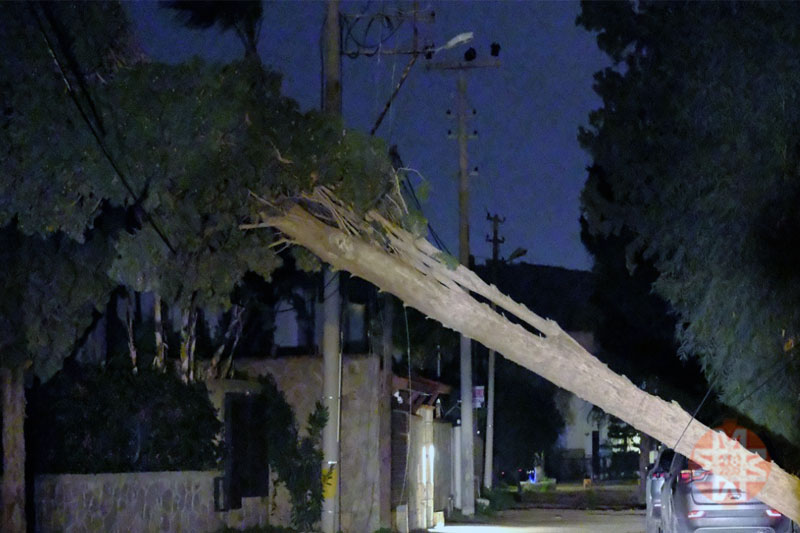 Muğla fırtına, 15 Şubat 2026