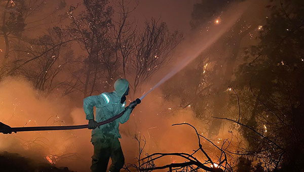 Köyceğiz Akköprü orman yangını, 19 Eylül 2025