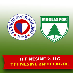 Profesyonel ligler 3