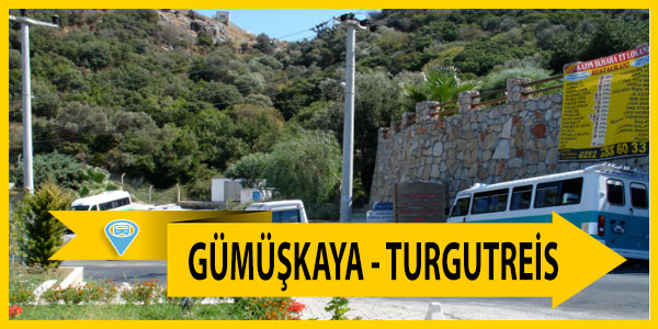 Gümüşkaya - Turgutreis dolmuş saatleri