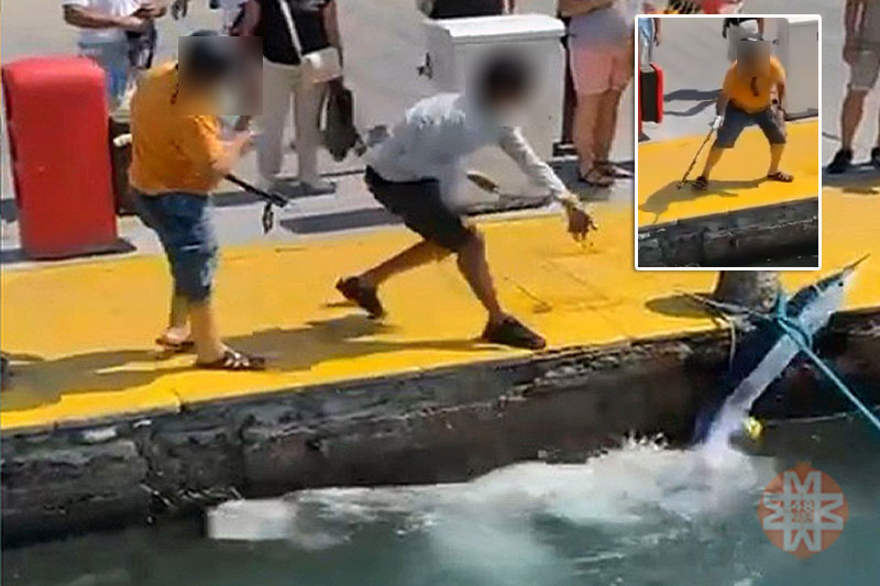 Bodrum haberleri; Bodrum haber 1