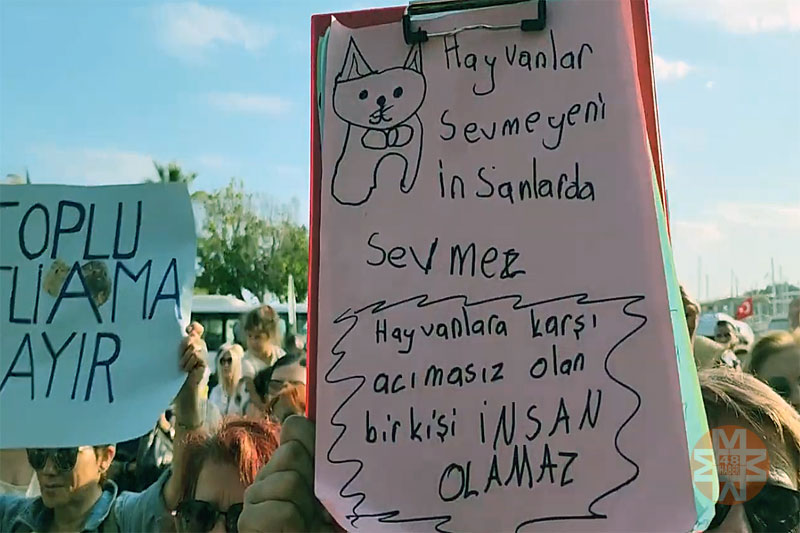 Bodrum'da, "Öldürme yaşat" eylemi 2
