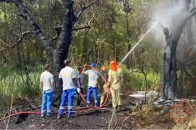Fethiye Akmaz Halk Plajı’nda yangın