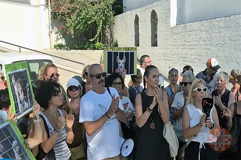 Yaşam haberleri; Yaşam haber 1