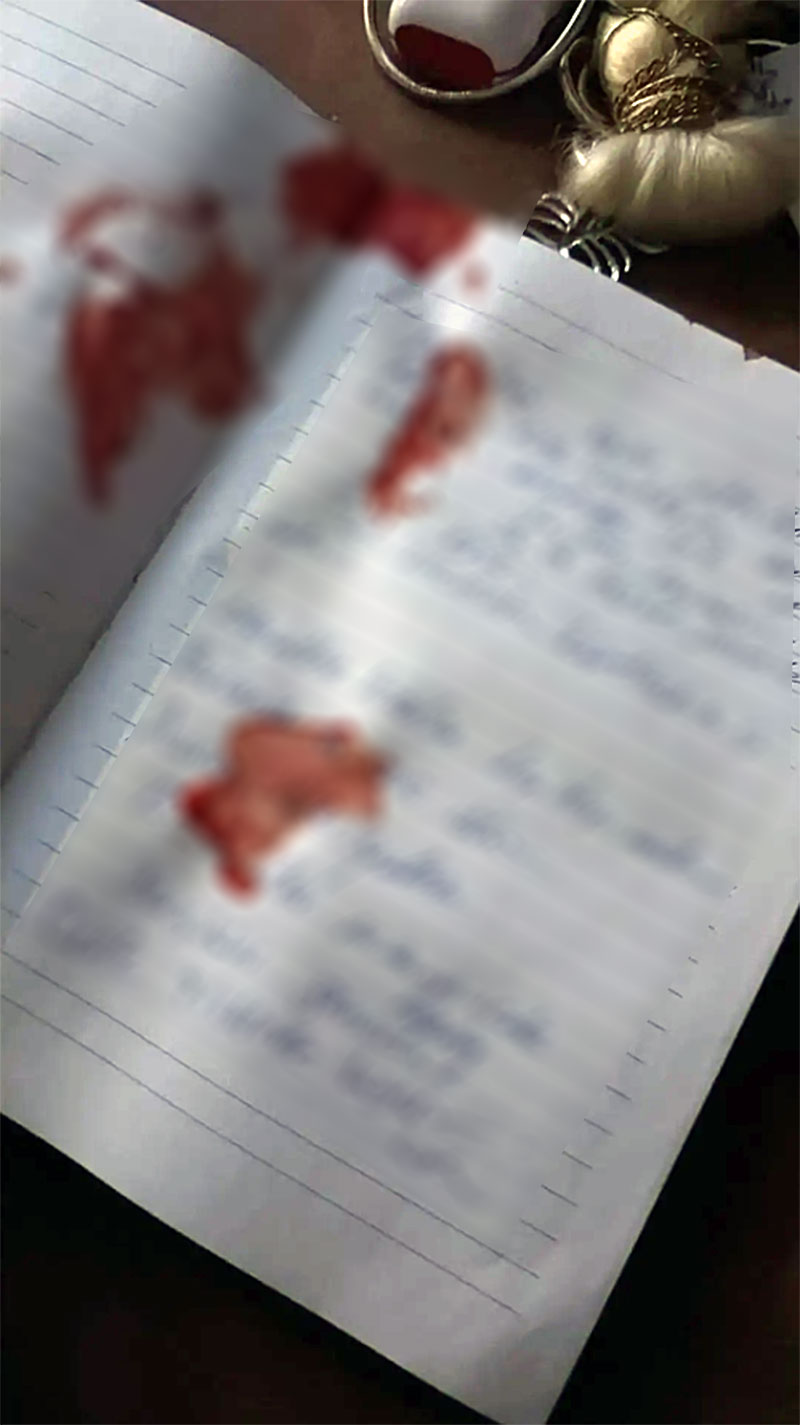 Ayşegül Eraslan mektup