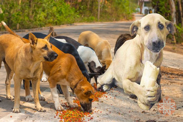 Hayatın içinden Haberler
