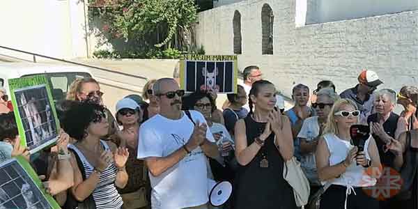 Hayatın içinden Haberler