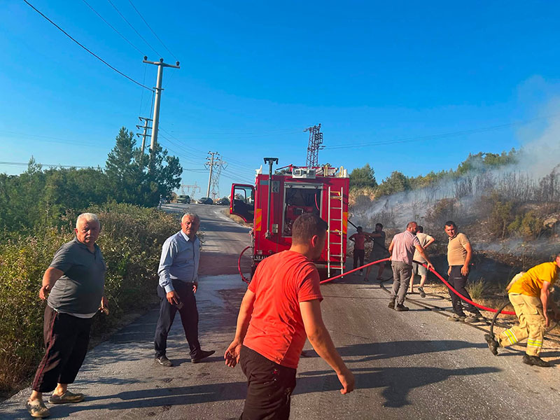 Kavaklıdere, Çayboyu Mahallesi orman yangını