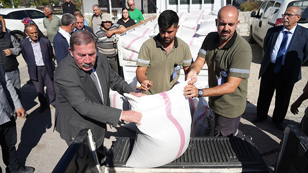 Milas'da çiftçiye karakılçık tohumu dağıtıldı