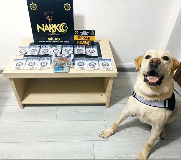 Muğla narkotik operasyonları, 10.07.2025 - 48 Haber Ajansı 3